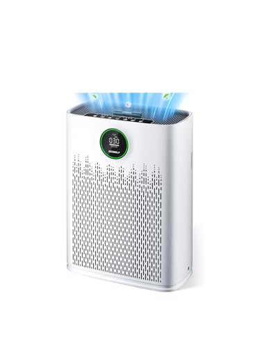 ECOSELF HAP603 Air Purifier