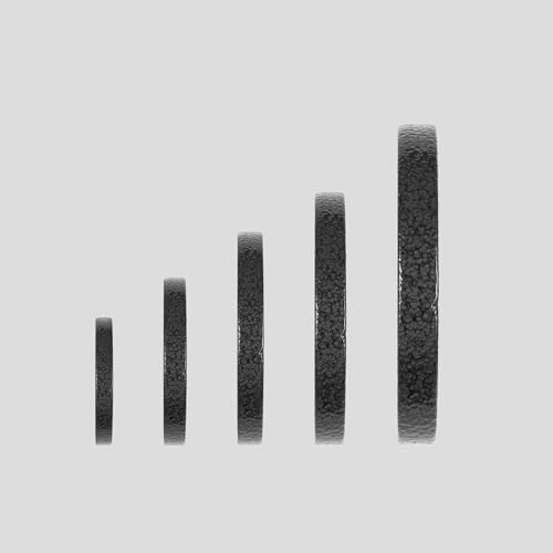 Phoenix Fitness Cast Iron Weight Plates - 1-Inch Free Weight Plate for Barbell Dumbbell Bars, Weightlifting & Strength Training at Home Gym - Singles, Pairs or Set of 4: 1.25kg, 2.5kg, 5kg, 10kg, 20kg - Image 5