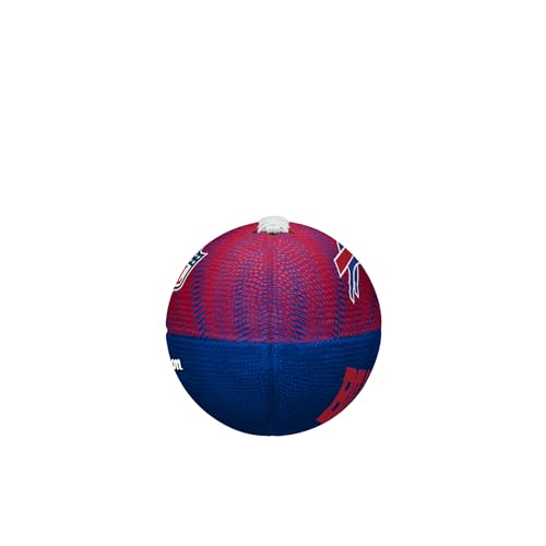 Image of WILSON Unisex NFL Team Tailgate Footballs