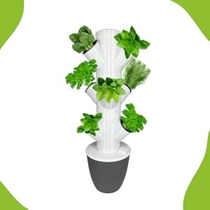Generisch H-T Mini 3 Kräuter Hydroponikturm