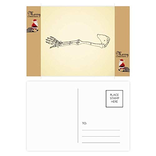 Cartes de remerciement corps humain célébrer la vie et la science à travers l'écriture manuscrite