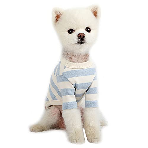Lucky Petter Dog Cotton Shirts For Small And Large Dogs Rugby Striped T-Shirts Soft Breathable Dog Shirt Pet Clothes (Medium, Ivory/Blue) #TOP8