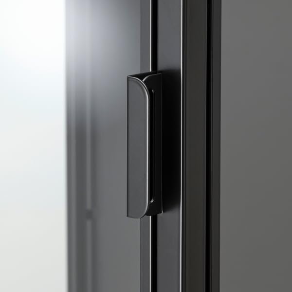 ProTuning Rudsta Armoire à portes vitrées, anthracite, 42 x 37 x 155 cm