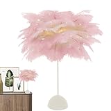 des plumes : dotée de plumes naturelles et de lumières en fil de cuivre pleines d'étoiles, cette lampe présente un design de plumes faites à la main, offrant des couleurs et des textures .