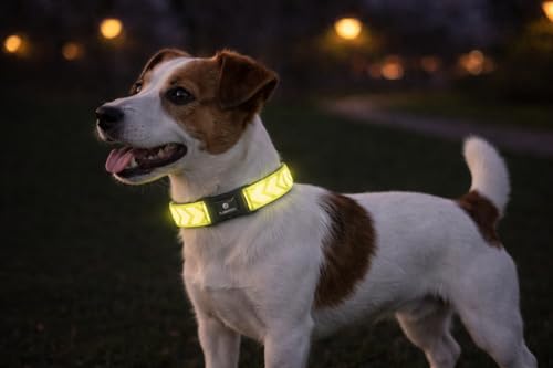 Collier Chien - Fergu Fluo Jaune S - 30-45 cm - 15 mm - Nylon réglable - Fermeture clic - réfléchissant