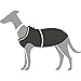 HUNTER Hunde-Regenmantel UPPSALA RAIN, Farbe: schwarz, wind- & wasserfest, anpassbarer Bauchgurt, reflektierend, elastische Beinschlaufen, kompakt verstaubar, leicht zu reinigen, waschbar, Größe: 55