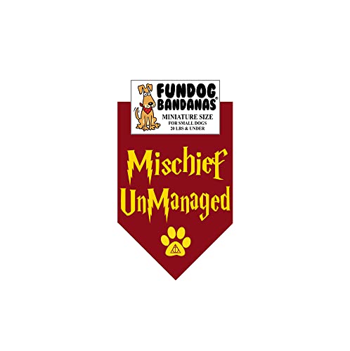 HP Mischief UnManaged (Miniature for Small Dogs Less Than 20 lbs)