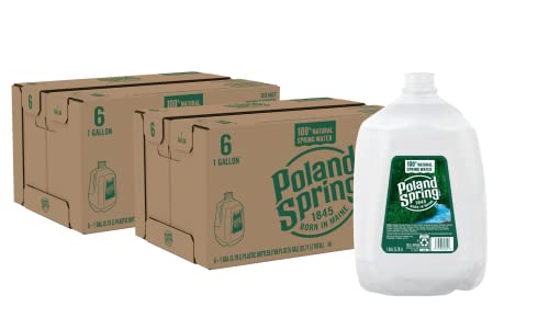 Image of Poland Spring Maine Spring Bottled Water - 1 Gallon, 6 Pack
