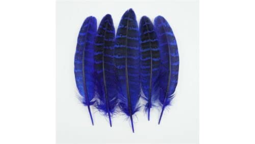 HoitoDeals 20Pcs Blue Small Pheasant Feathers for Clothes Peacock Feather Natural Feathers for Crafts Wedding Carnaval Assesoires 10-15cm