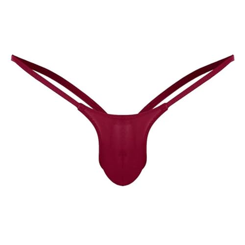 Evankin Men's Underwear See Through Sexy Jock Straps Underpants U-shaped Pouch T-shaped Pants Fun Underwear4