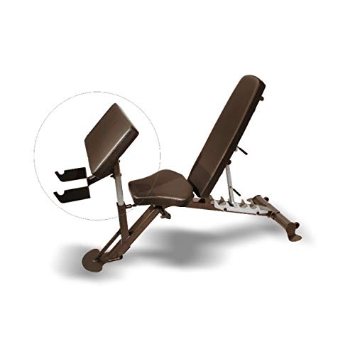 SALTER Accesorio bíceps INS-SCS-PC2 para Banco INS-BCO con Soporte para Barra. Gama de Productos Semi-Profesional