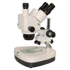 Lente di ingrandimento xtz trino 10-40x-zoom