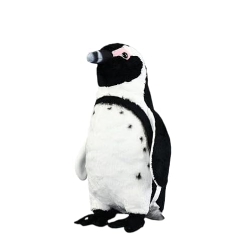 P[vyM ʂ  Gǂ NbV YQ u A Q ubN D xbhTCh  n 蕨 a NX}X 27cm v[g