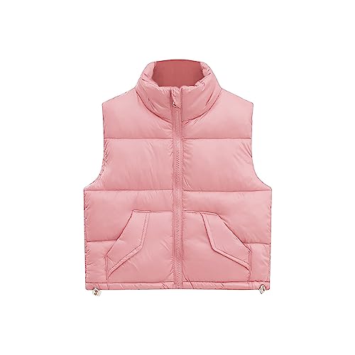 Boys and Toddlers'Lightweight Puffer Vest Sleeveless Puffy Outwear Girls Zip Up Quilted Jackets Winter Warm Waistcoat Pockets