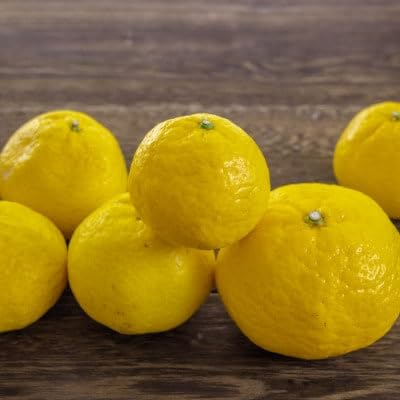 (愛媛名産)玉宝媛小春(ひめこはる) 2kg(D64-85)