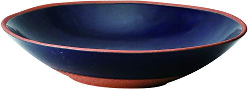 Cuenco pequeño Kaneshotouki evita derrames en platos hondos 22cm 3