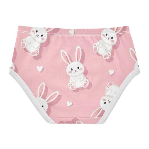 Fun Toddler Underwear Floral 2t Cotton Cute Panties Girl Cute Bunnies White Rabbits Pink Briefs Underpants2