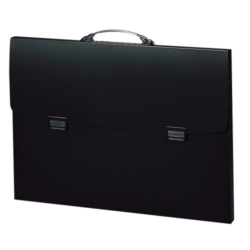 Lihit Lab B3 F913 Carrying Case