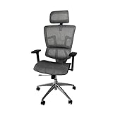 Ergomax, Lumbar Support, High Back, Executive Armrest Headrest, Ergonomic Height Adjustable, Breathable Mesh Fabric, Home Office Chair, 53 in. Max, Gray
