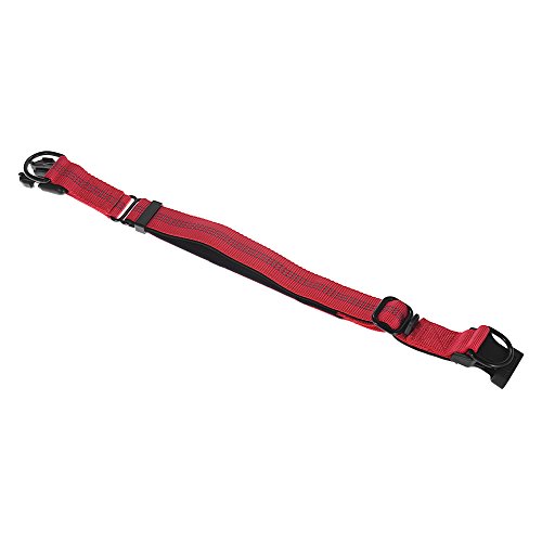 Festnight Strong Durable Dog Collar Dual D-ring Nylon Comprimento ajustável Tiras reflexivas Confort