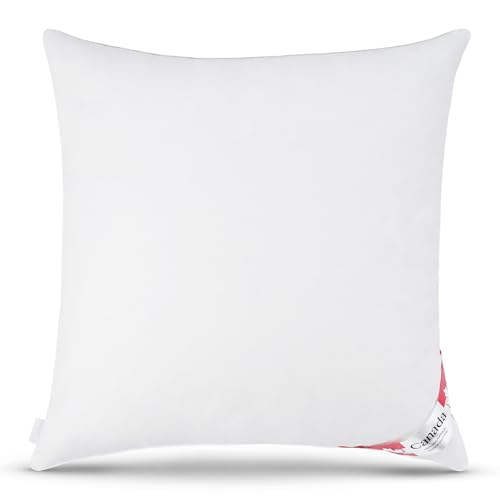 Bach's Betten Welt Canada Daunenkissen 5 Sterne Hotel Kopfkissen 80x80 cm 100% Natur Qualität Klasse 1