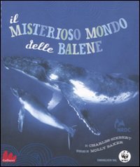 Il misterioso mondo delle balene. Ediz. illustrata Il misterioso mondo delle balene. Ediz. illustrata
