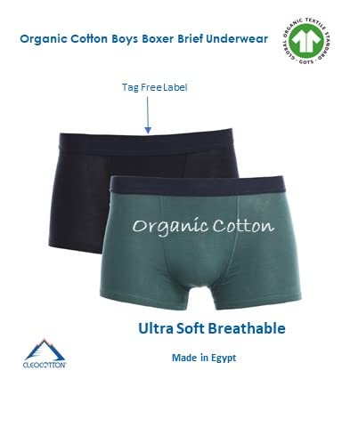 Organic Cotton Boys underwear Boxer Brief (4-Pack) | Cotton stretch Boxer Brief for Boys, Size (4-16) | (Made in Egypt)2