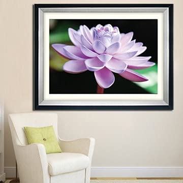 Kit Complet Peinture au Diamant Lotus | Cadeau Artisanal Adultes
