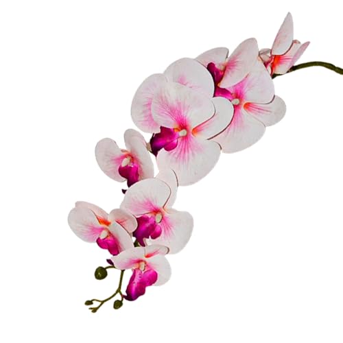 Image of CraftVatika Artificial Faux White Orchid Flower Single Stem with 10 Flower Heads | Phalaenopsis-Style Butterfly Orchid Look | Decorative Flower for Vase Decoration, Home, Office, Wedding Event Decor