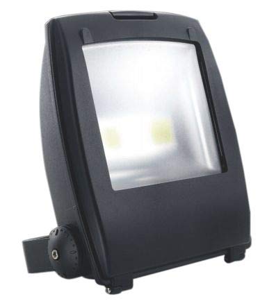 PowerLED LED Floodlight, 2 LED, 80 W, IP65 90 264 V