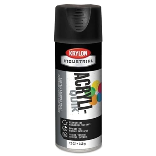 Krylon 1602 12-Oz Fast-Drying High Gloss Finish Spray Paint, Ultra-Flat Black