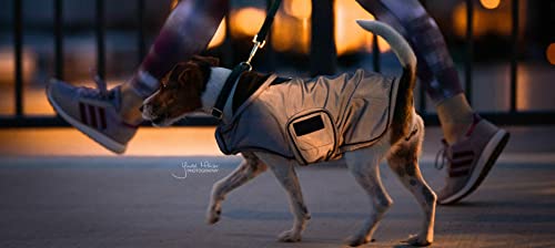 Kentucky Dogwear - Hundemantel - Reflektierend & Wasserdicht - Silber - Größe (XS) - 28-33cm