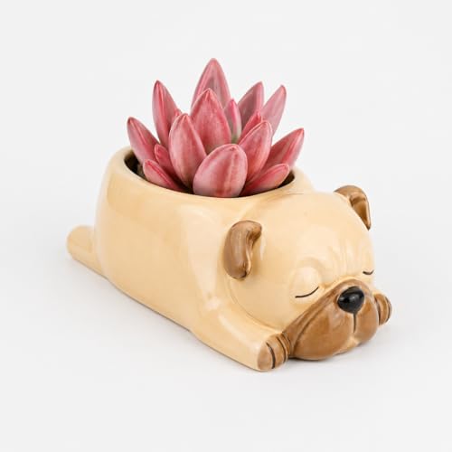 Image of Cute Sleeping Puppy Succulent Planter Pot | Dog Resin Flower Pot, Small Indoor Plant Holder for Succulents, Cactus & Herbs, Decorative Animal Planter