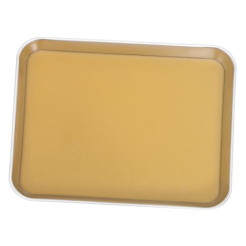 IMIKEYA Bandeja de Disección de Acero Inoxidable con Base de Cera para Laboratorios Biología Enseñanza Secundaria y Bachillerato