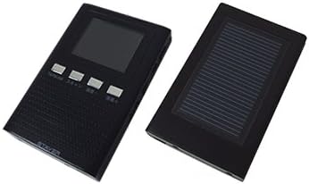 勝利セット 勝利の楽士 4枚セット MTG 勝利の楽士 タルキール：龍嵐録 日 4