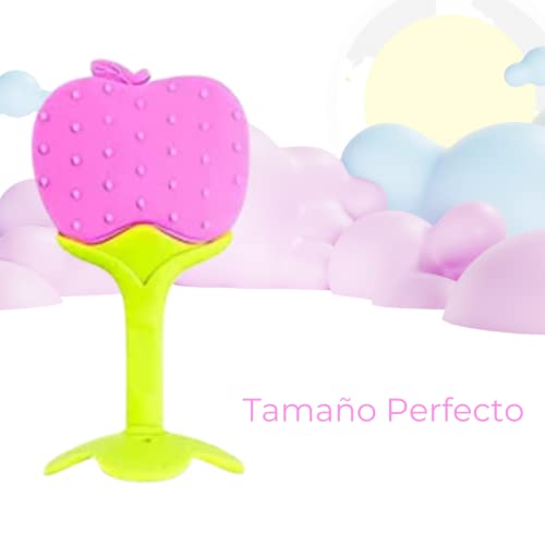 Mordederas Y Chupones, Baby Product mordedera nuby Marca SAYCHEESE (3)