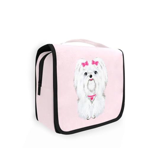 [SoreSore] gx|[`  sN  Aj}  gC^[obO σ|[` s ݂艺 ʋ oX[|[`  [ |[` e o  킢 RpNg y ^ѕ֗ tbNt