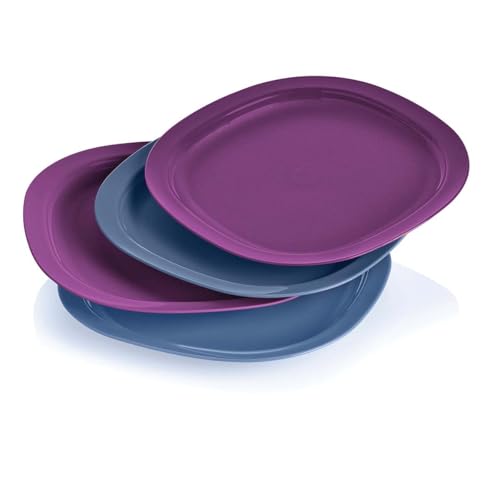 Tupperwareplate Microwave Reheatable Luncheon Plates 9.5 inch Set of 4 Purple Blue