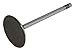 Crown Intake Valve