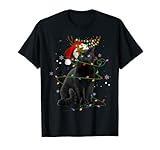 Drôle Chat de Noël