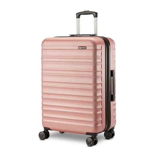 Amazon Basics 26" Medium Checked Luggage