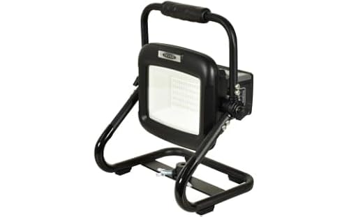 着脱式チャージライトLIFE 30W (BAT-LI30RE) [0903]