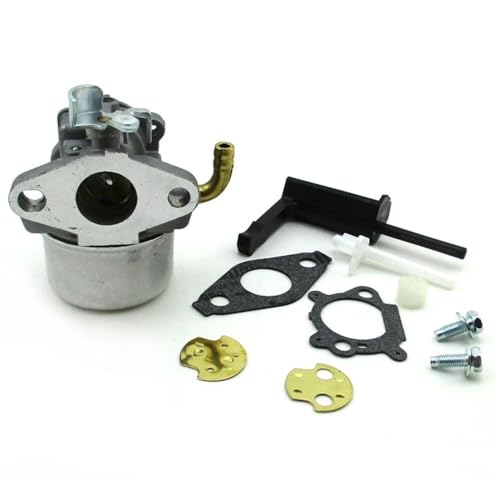 Carburateur B&S 795069 698859 pièce moteur tondeuse thermique
