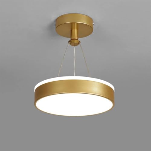 Lustre moderne or au design épuré pour intérieur élégant