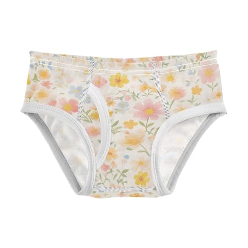 KLL Watercolor Pattern Floral Toddler Boys' Cotton Underwear Briefs Cute Undies