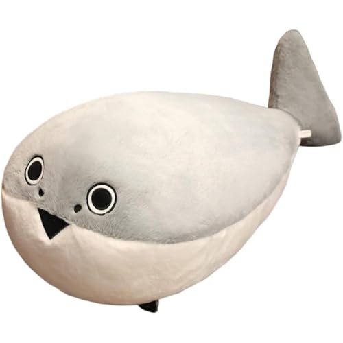 OGXNTJooXsX Ñ㋛E͓؂ʂ eӂӂ픧G nCmfUC q QpEԗpEƒp av[g (30bl,ۂ@Ef)