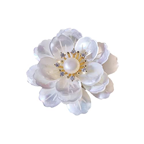 LԂ̃u[` R̉ W^ ^Ľ  Mtg  SHE004