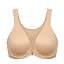 Warm Beige