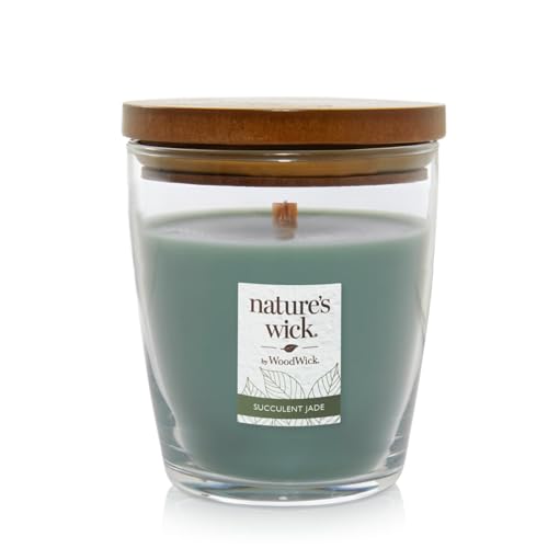 Nature's Wick Succulent Jade Scented Candle 10 ounces Medium