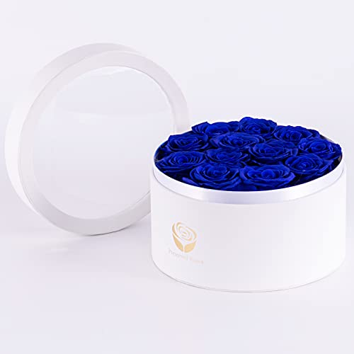 Yamonic Preserved Real Roses in a Box, Rose Box Gifts for Her, Eternal Roses in a Box, Romantic Gifts for Her, Gift Box for Her/Women/Mother/Friend (12 Blue Roses, Round White Box)